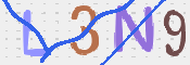 CAPTCHA 驗證圖片