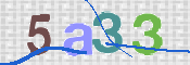 CAPTCHA 驗證圖片