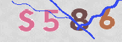 CAPTCHA 验证图片
