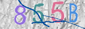 CAPTCHA 验证图片