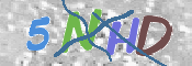CAPTCHA 验证图片
