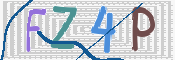 CAPTCHA 验证图片