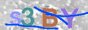 CAPTCHA 验证图片
