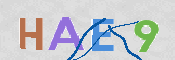 CAPTCHA 验证图片