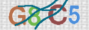 CAPTCHA 验证图片
