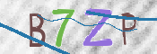 CAPTCHA 验证图片