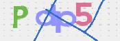 CAPTCHA 验证图片