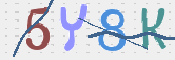 CAPTCHA 验证图片