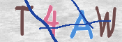 CAPTCHA 驗證圖片