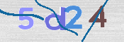 CAPTCHA 验证图片