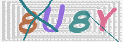 CAPTCHA 驗證圖片
