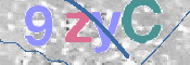 CAPTCHA 验证图片