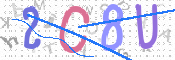 CAPTCHA 驗證圖片