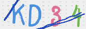 CAPTCHA 验证图片