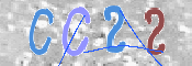 CAPTCHA 验证图片