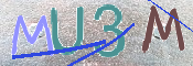 CAPTCHA 驗證圖片