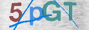 CAPTCHA 验证图片
