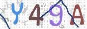 CAPTCHA 验证图片