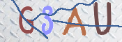 CAPTCHA 验证图片