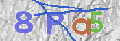 CAPTCHA 驗證圖片