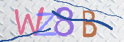 CAPTCHA 验证图片