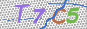 CAPTCHA 验证图片
