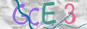 CAPTCHA 验证图片