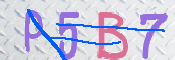 CAPTCHA 验证图片