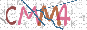 CAPTCHA 验证图片