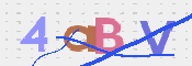 CAPTCHA 验证图片