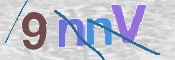 CAPTCHA 验证图片