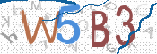 CAPTCHA 验证图片