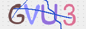 CAPTCHA 验证图片