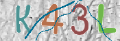 CAPTCHA 验证图片