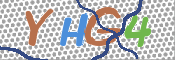 CAPTCHA 验证图片
