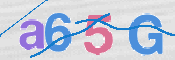 CAPTCHA 验证图片