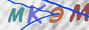 CAPTCHA 验证图片