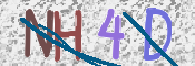 CAPTCHA 验证图片