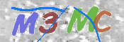 CAPTCHA 验证图片