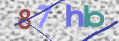 CAPTCHA 验证图片