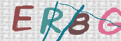 CAPTCHA 验证图片