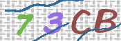 CAPTCHA 验证图片