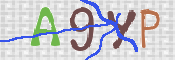CAPTCHA 验证图片