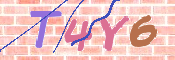 CAPTCHA 验证图片