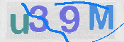 CAPTCHA 验证图片