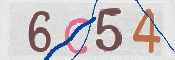CAPTCHA 驗證圖片