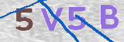 CAPTCHA 驗證圖片