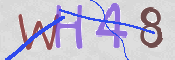CAPTCHA 验证图片