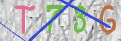 CAPTCHA 驗證圖片