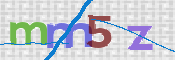 CAPTCHA 验证图片